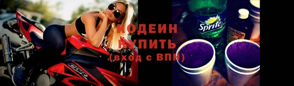 прущие грибы Балахна