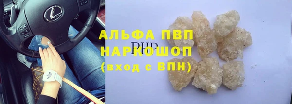 прущие грибы Балахна
