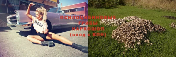 прущие грибы Балахна