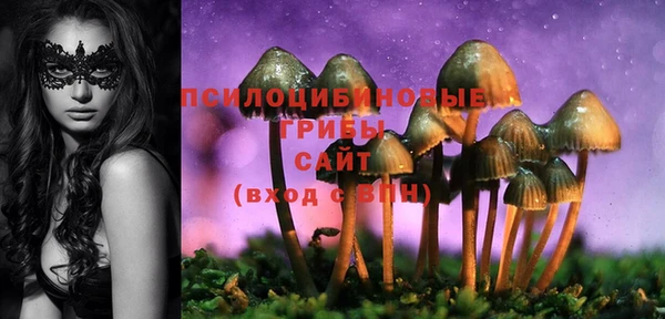 стаф Балабаново