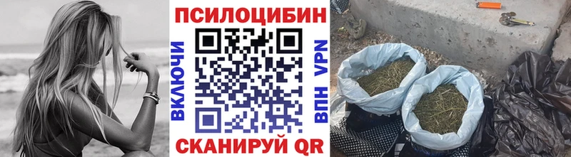 Псилоцибиновые грибы Magic Shrooms  Заводоуковск 